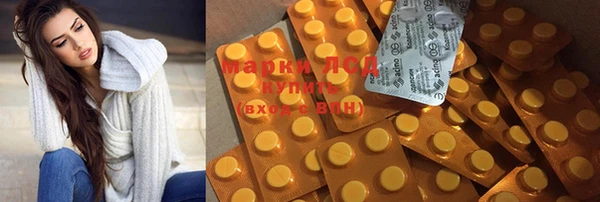 spice Богданович