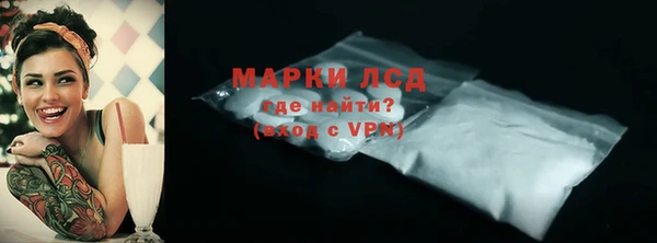 spice Богданович