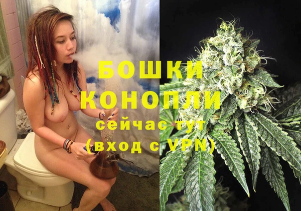 mix Богородск