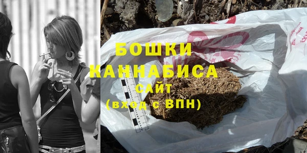 spice Богданович