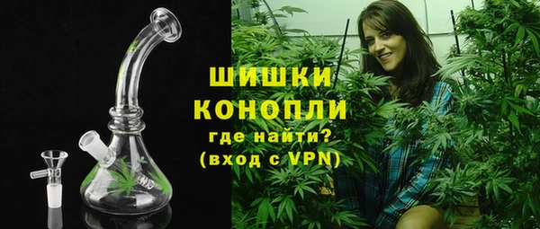 spice Богданович