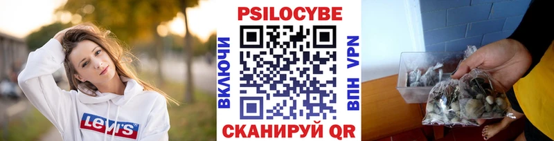 omg ONION  Белокуриха  Галлюциногенные грибы мицелий 